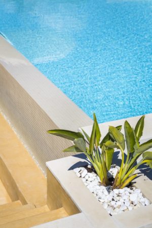 Forgetmenotvillas Gallery 41